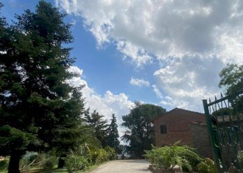 Foto 59 - Rustico San Ginesio - foto 59