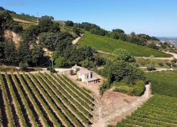 Foto 2 - Rustico SP142
 
snc, Ripatransone - foto 2