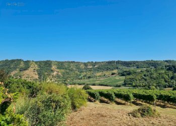 Foto 15 - Rustico SP142
 
snc, Ripatransone - foto 15