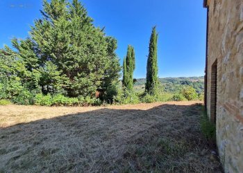 Foto 25 - Rustico SP142
 
snc, Ripatransone - foto 25