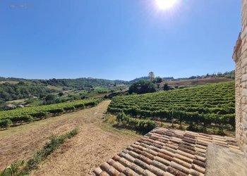 Foto 28 - Rustico SP142
 
snc, Ripatransone - foto 28