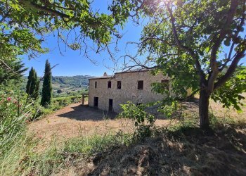 Foto 33 - Rustico SP142
 
snc, Ripatransone - foto 33