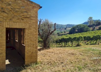 Foto 34 - Rustico SP142
 
snc, Ripatransone - foto 34