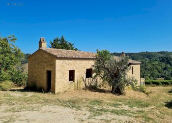 Foto 35 - Rustico SP142
 
snc, Ripatransone - foto 35