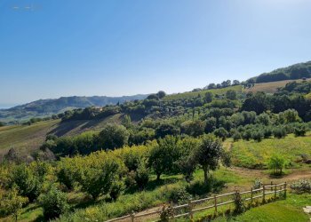 Foto 45 - Rustico Contrada San Michele
 
17, Ripatransone - foto 45