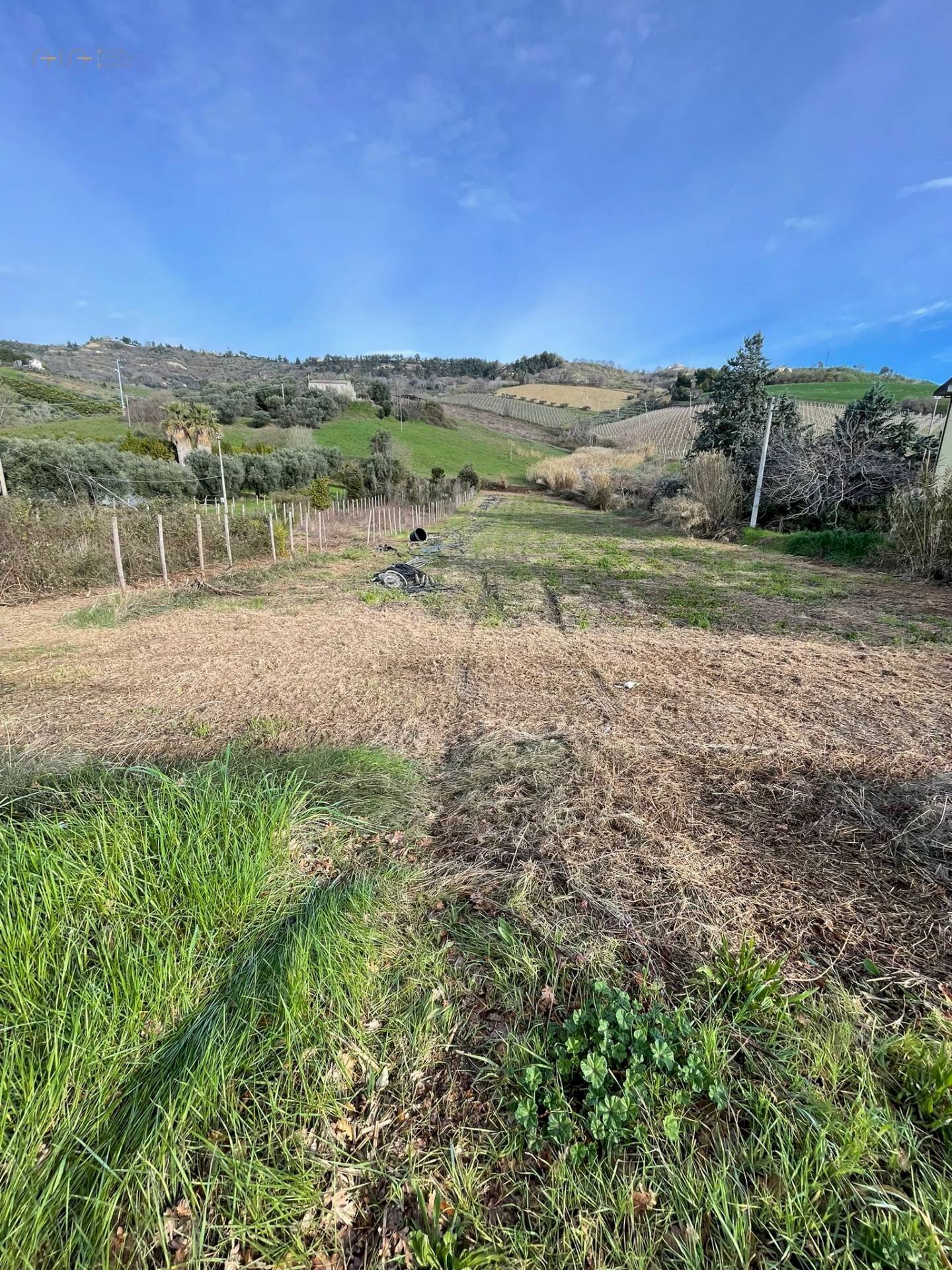 Foto 1 - Terreno agricolo Ripatransone - foto 1