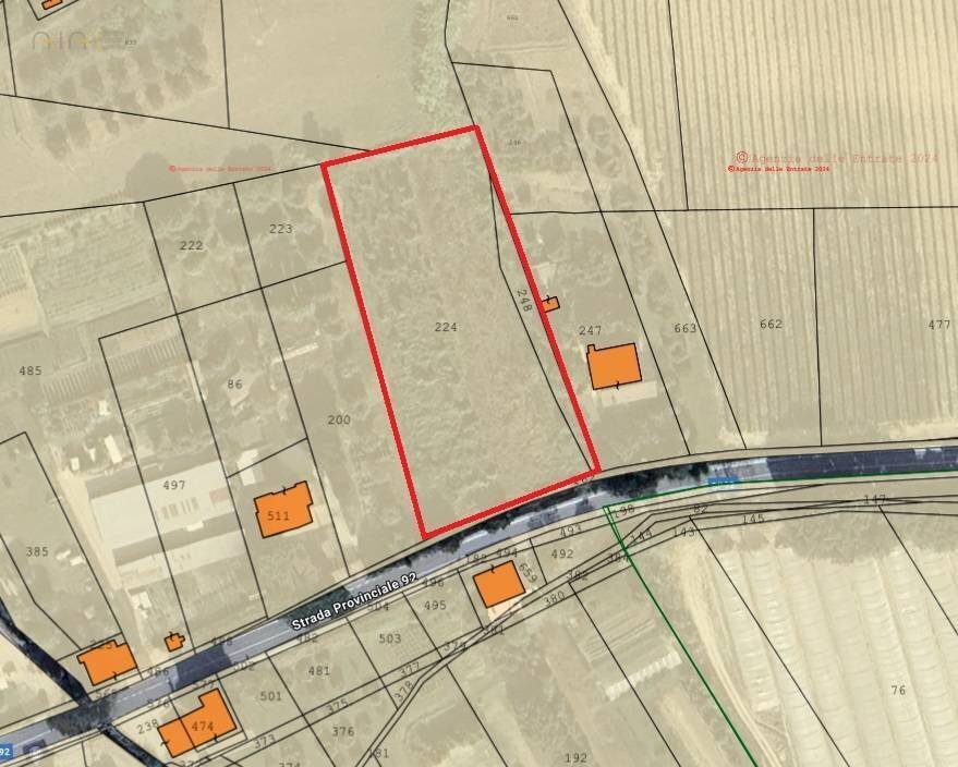Foto 2 - Terreno agricolo Ripatransone - foto 2