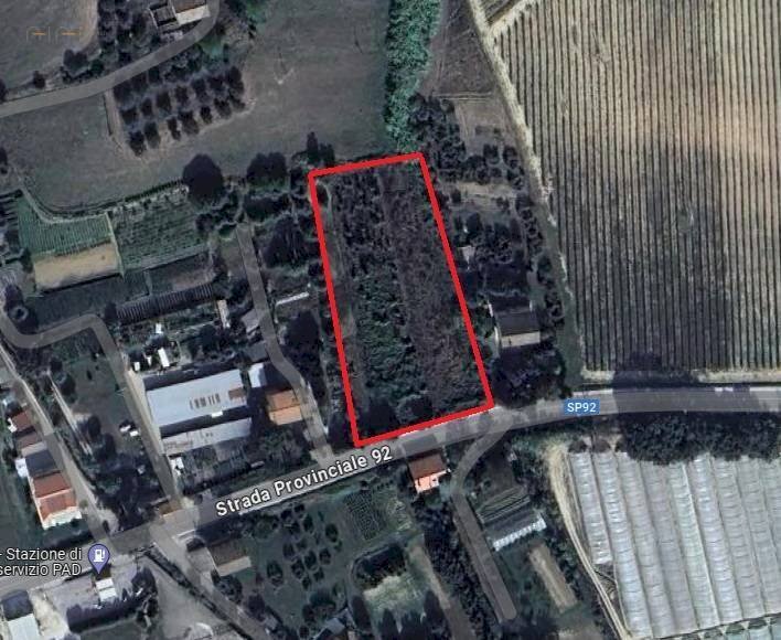 Foto 3 - Terreno agricolo Ripatransone - foto 3