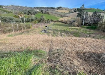 Foto 1 - Terreno agricolo Ripatransone - foto 1