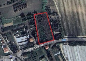 Foto 3 - Terreno agricolo Ripatransone - foto 3