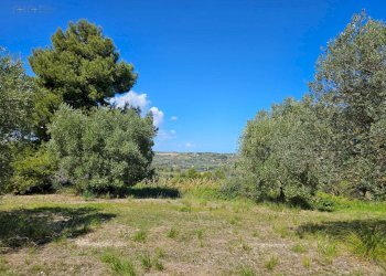 Foto 16 - Rustico CONTRADA SANT'EGIDIO
 
SNC, Cupra Marittima - foto 16