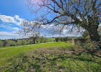 Foto 19 - Rustico CONTRADA SANT'EGIDIO
 
SNC, Cupra Marittima - foto 19