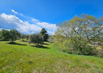 Foto 22 - Rustico CONTRADA SANT'EGIDIO
 
SNC, Cupra Marittima - foto 22