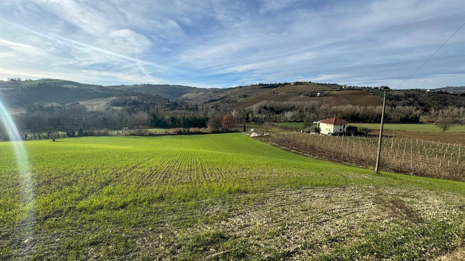 Foto 1 - Terreno agricolo Contrada Tesino
 
snc, Offida - foto 1