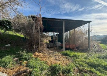 Foto 5 - Rustic Contrada Tesino
 
snc, Offida - photo 5