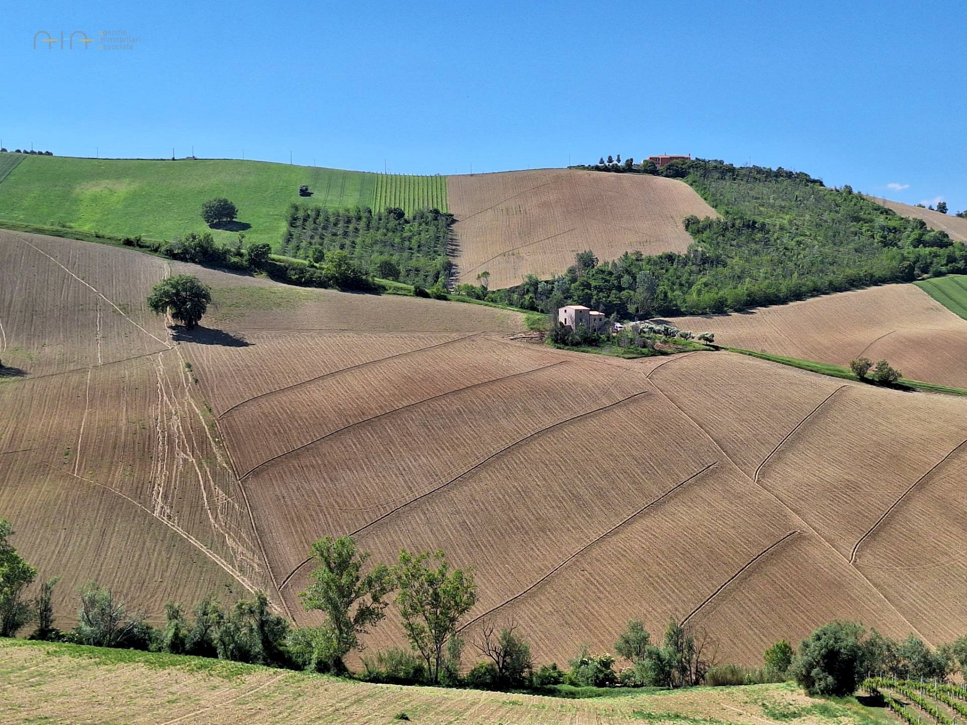 Foto 1 - Terreno agricolo C.da Tosciano, Ripatransone - foto 1