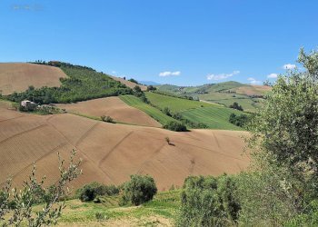Foto 2 - Agricultural land C.da Tosciano, Ripatransone - photo 2