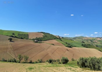 Foto 3 - Agricultural land C.da Tosciano, Ripatransone - photo 3