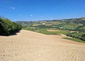 Foto 9 - Agricultural land C.da Tosciano, Ripatransone - photo 9