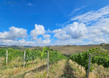 Foto 35 - Rustico Contrada Forola
 
15, Acquaviva Picena - foto 35