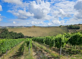 Foto 36 - Rustico Contrada Forola
 
15, Acquaviva Picena - foto 36