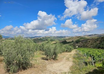 Foto 39 - Rustico Contrada Forola
 
15, Acquaviva Picena - foto 39