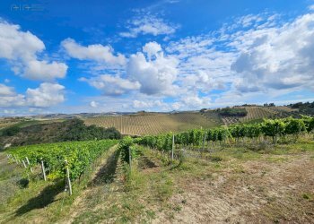 Foto 40 - Rustico Contrada Forola
 
15, Acquaviva Picena - foto 40