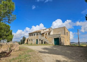 Foto 2 - Azienda agricola Contrada Forola
15, Acquaviva Picena - foto 2