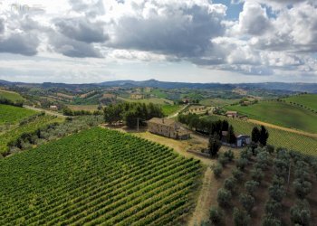 Foto 6 - Azienda agricola Contrada Forola
15, Acquaviva Picena - foto 6