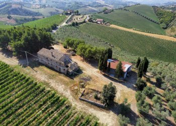 Foto 7 - Azienda agricola Contrada Forola
15, Acquaviva Picena - foto 7