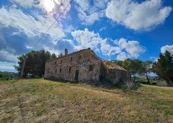 Foto 33 - Azienda agricola Contrada Forola
15, Acquaviva Picena - foto 33