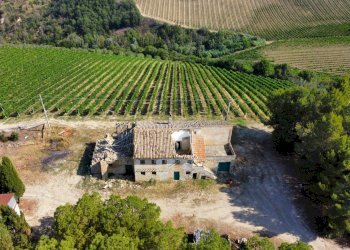 Foto 41 - Azienda agricola Contrada Forola
15, Acquaviva Picena - foto 41