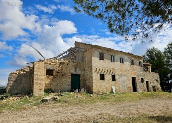 Foto 45 - Azienda agricola Contrada Forola
15, Acquaviva Picena - foto 45