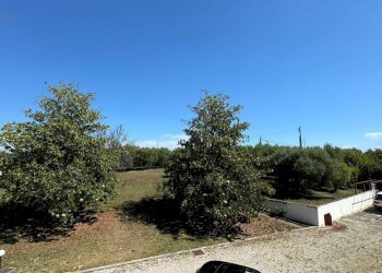 Foto 64 - Villa Contrada Sant'Andrea
 
80, Cupra Marittima - foto 64