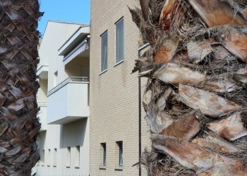 Foto 5 - Trilocale Piazza Unità D'Italia
 
snc, Ripatransone - foto 5