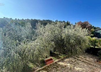 Foto 39 - Rustico Contrada San Biagio, Ripatransone - foto 39