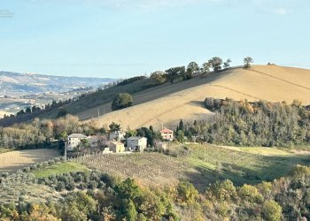 Foto 7 - Rustico Contrada Pachierno
 
11, Castignano - foto 7