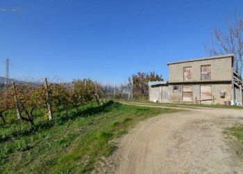 Foto 33 - Rustico Contrada Pachierno
 
11, Castignano - foto 33