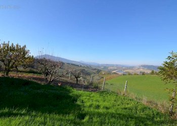 Foto 35 - Rustico Contrada Pachierno
 
11, Castignano - foto 35