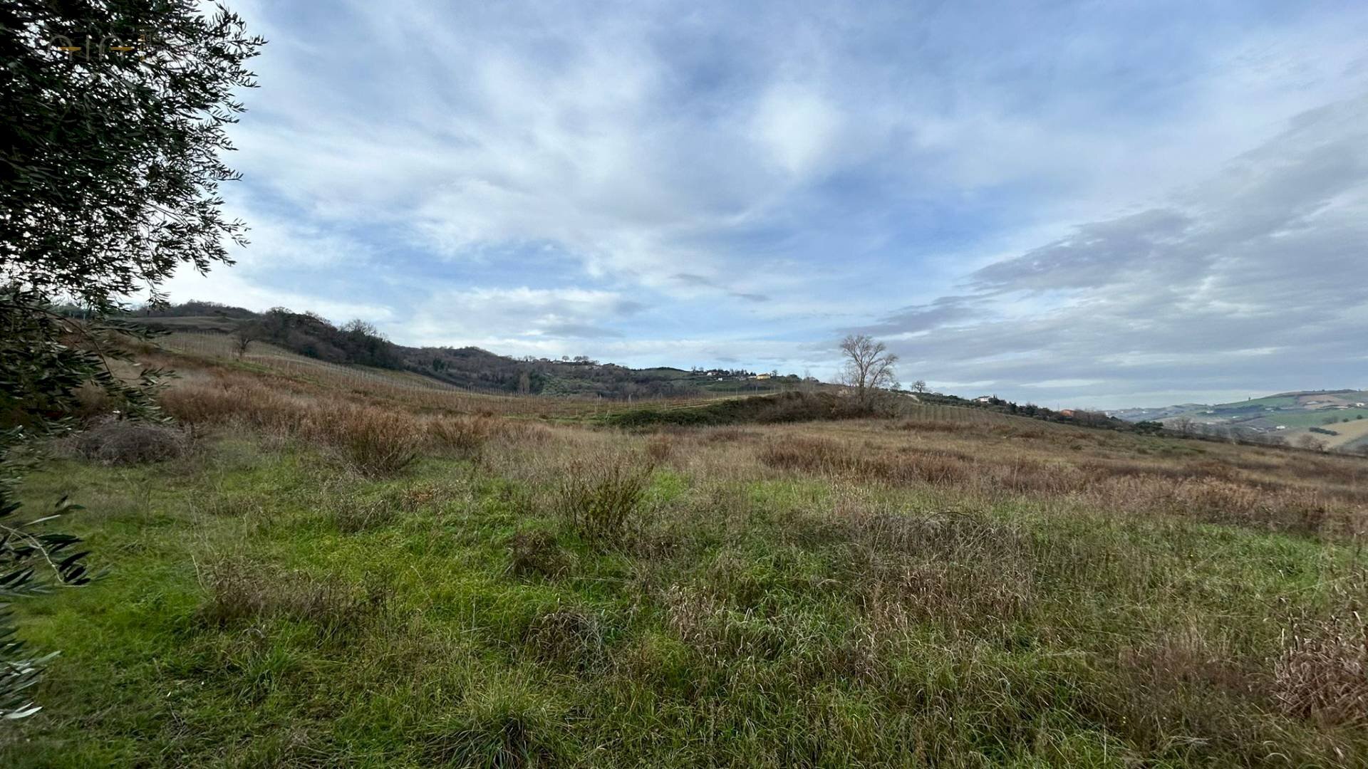 Foto 3 - Terreno agricolo Strada Provinciale 142, Ripatransone - foto 3