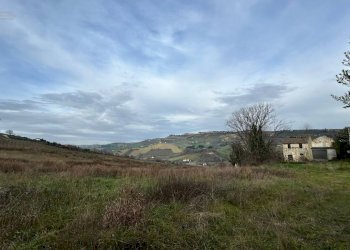 Foto 8 - Agricultural land Strada Provinciale 142, Ripatransone - photo 8