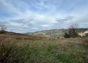 Foto 9 - Agricultural land Strada Provinciale 142, Ripatransone - photo 9