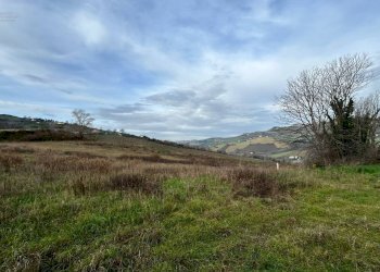 Foto 10 - Agricultural land Strada Provinciale 142, Ripatransone - photo 10