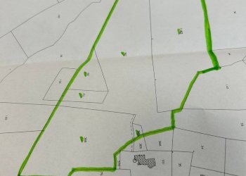 Foto 12 - Agricultural land Strada Provinciale 142, Ripatransone - photo 12