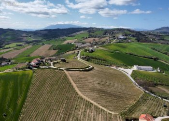 Foto 5 - Rustico Contrada San Venanzo
 
snc, Castignano - foto 5