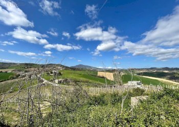 Foto 31 - Rustico Contrada San Venanzo
 
snc, Castignano - foto 31