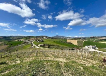 Foto 33 - Rustico Contrada San Venanzo
 
snc, Castignano - foto 33