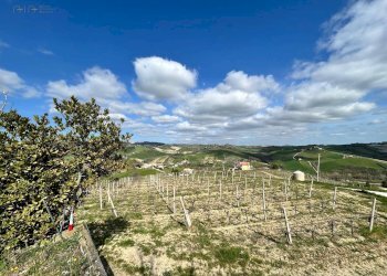 Foto 35 - Rustico Contrada San Venanzo
 
snc, Castignano - foto 35