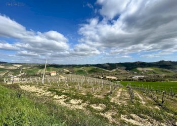 Foto 37 - Rustico Contrada San Venanzo
 
snc, Castignano - foto 37