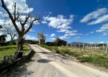 Foto 39 - Rustico Contrada San Venanzo
 
snc, Castignano - foto 39